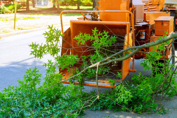 Best Landscape Design and Installation  in Irrigon, OR